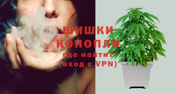 гидра Верхний Тагил