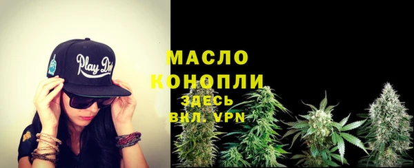 гидра Верхний Тагил