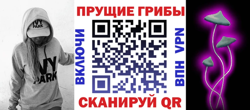 Псилоцибиновые грибы GOLDEN TEACHER  Новоржев 