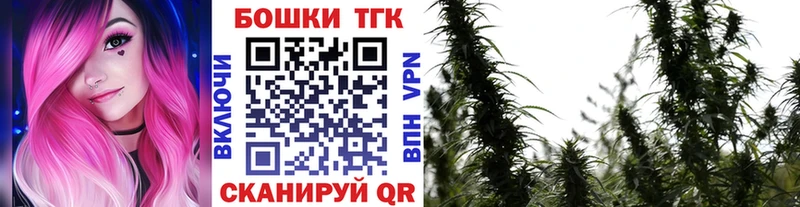 Шишки марихуана White Widow  где купить   Новоржев 